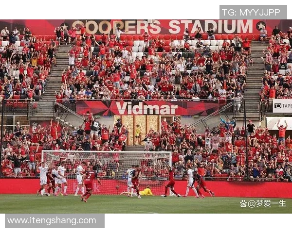 曼联与狼队激情对决贴吧热议赛前分析与球迷期待 曼联与狼队激情对决贴吧热议赛前分析与球迷期待