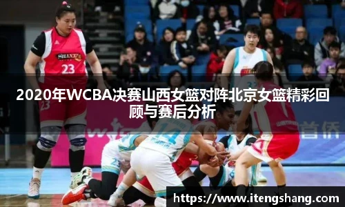 伟德bv国际体育