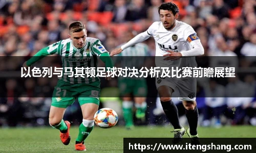 伟德bv国际体育